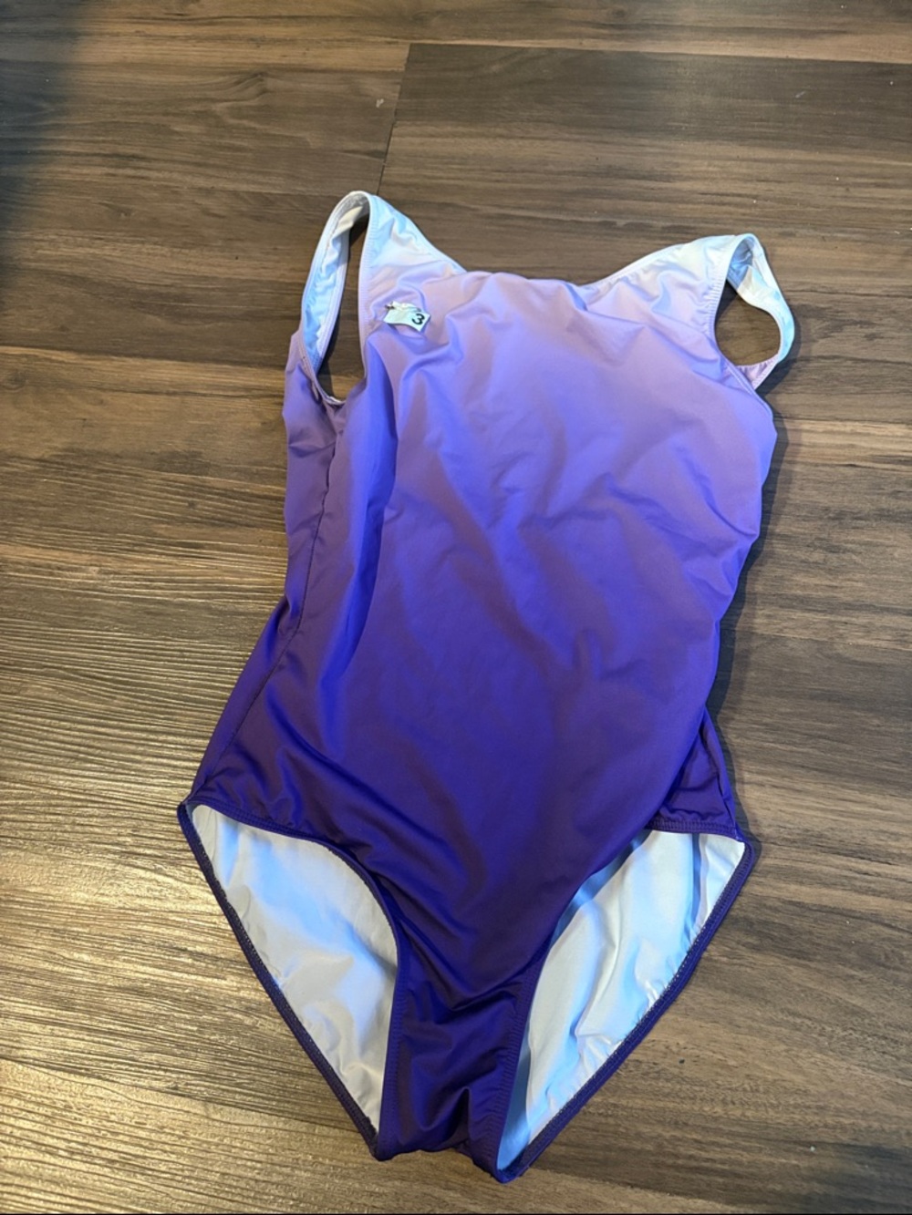 Ballet Rosa Purple Leotard